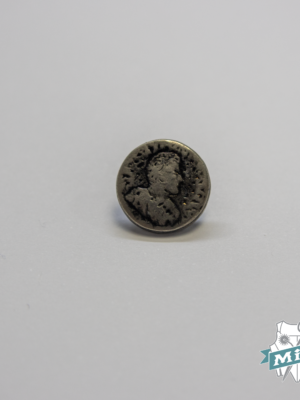 Botón  modelo "Moneda" color plata vieja